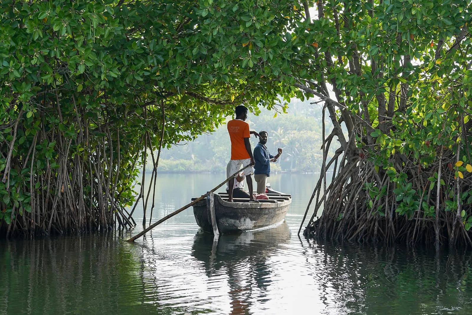 A wooden boat on a narrow waterway lined with mangrove trees in Kerala